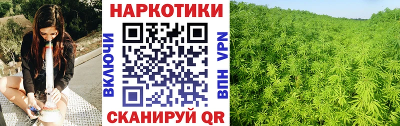 Купить наркотики Пятигорск Галлюциногенные грибы  Гашиш  Марихуана 