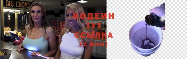 spice Гусиноозёрск