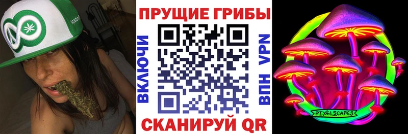 Галлюциногенные грибы MAGIC MUSHROOMS  мега ссылки  Пятигорск  сколько стоит 