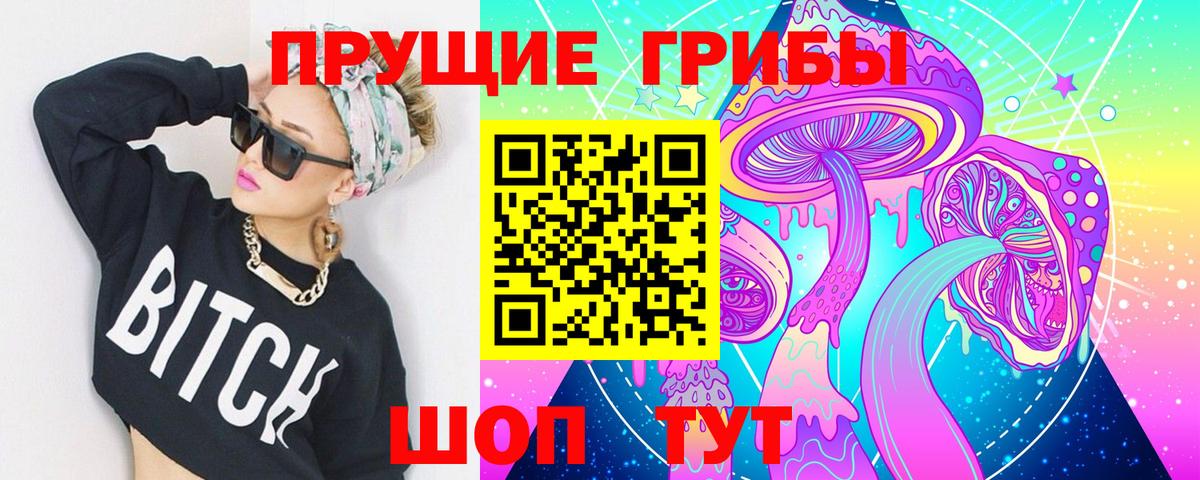 Пятигорск  Галлюциногенные грибы прущие грибы  Вход с VPN 